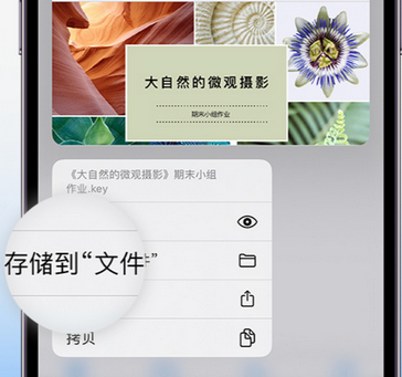 长城区apple维修中心分享iPhone文件应用中存储和找到下载文件