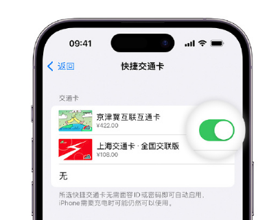 长城区apple维修点分享iPhone上更换Apple Pay快捷交通卡手绘卡面 