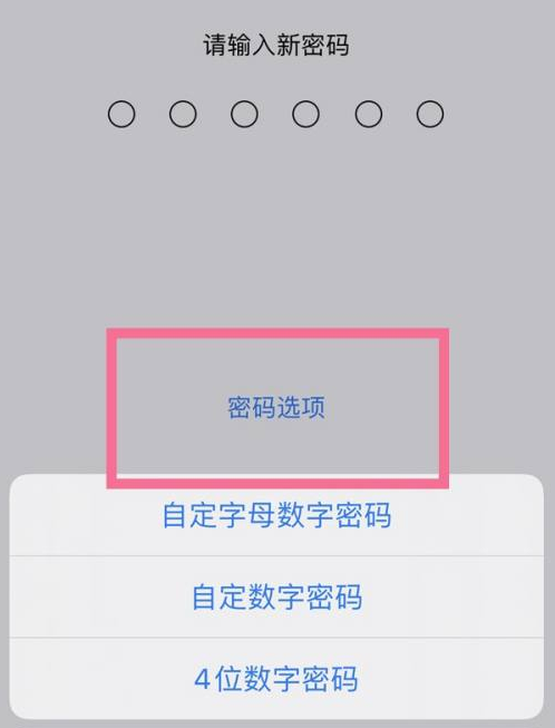 长城区苹果14维修分享iPhone 14plus设置密码的方法 