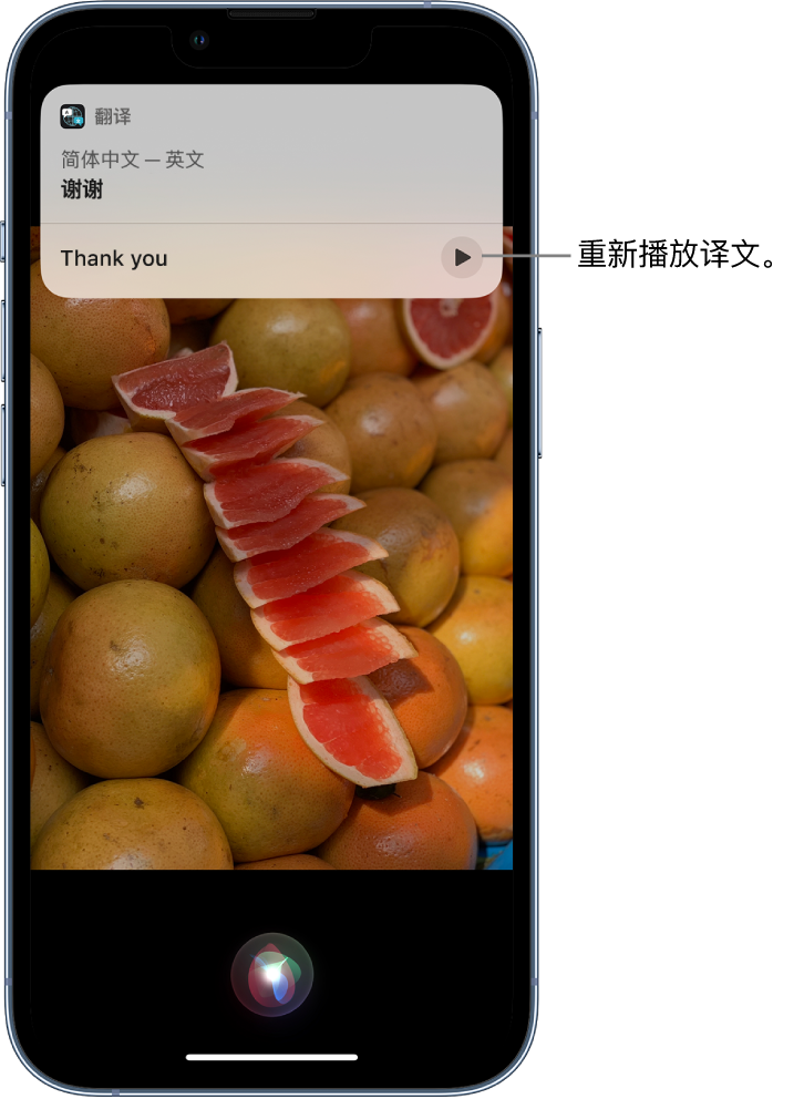 长城区苹果14维修分享 iPhone 14 机型中使用 Siri：了解 Siri 能帮你做什么 