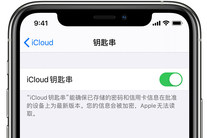 长城区苹果手机维修分享在 iPhone 上开启 iCloud 钥匙串之后会储存哪些信息 