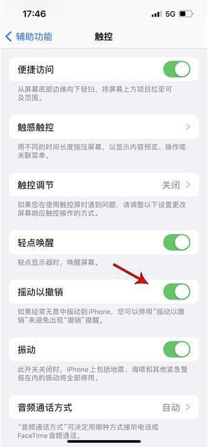 长城区苹果手机维修分享iPhone手机如何设置摇一摇删除文字 