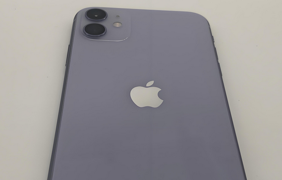 长城区苹果11系统维修分享iPhone11手机系统崩溃无法开机如何解决 